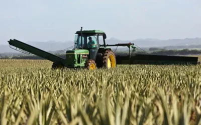 Fertigation systems for the perfect mix