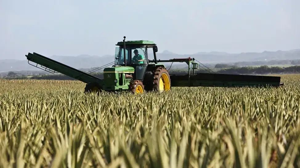 Fertigation systems in NZ