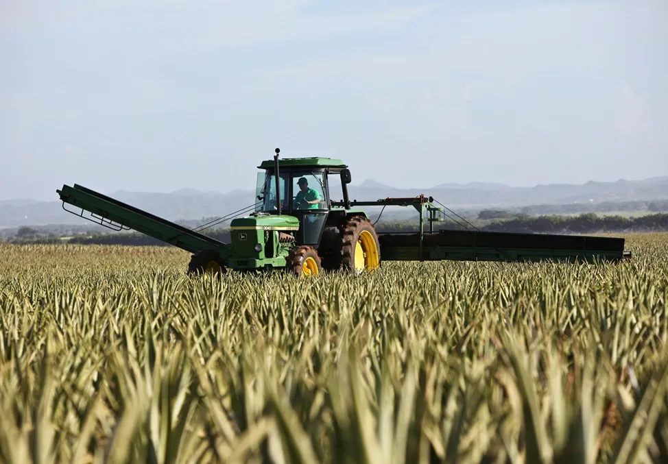 Fertigation systems in NZ