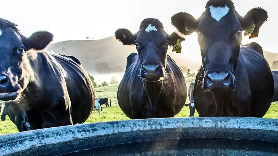 MixRite inline dosing systems – when every drop means livestock