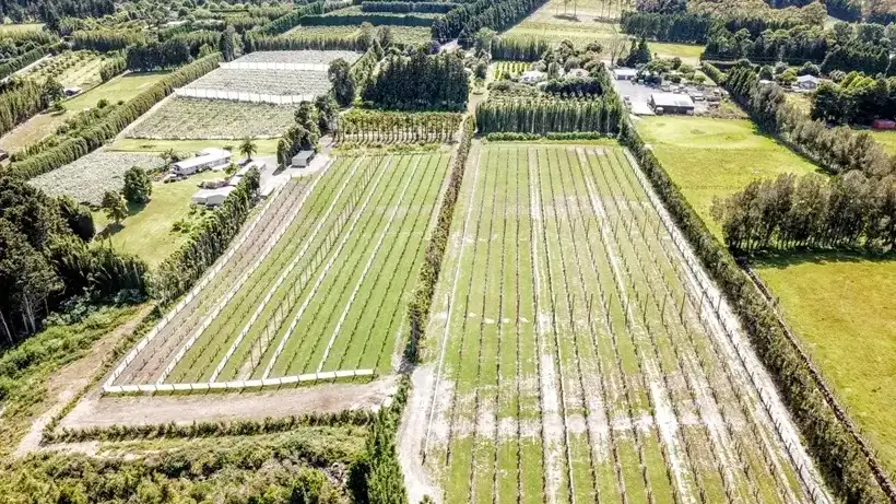 Tefen-pump-on-kiwifruit-orchard Tefen pump on kiwifruit orchard