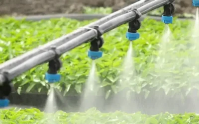 A & B Fertigation – it’s all in the right mix