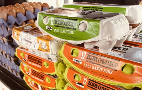 dosing pumps for chickens